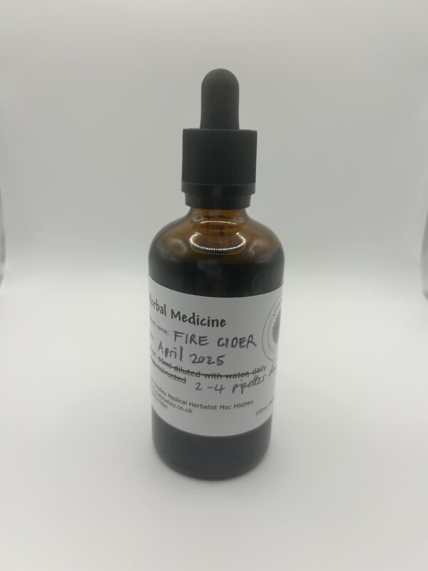 100ml Fire cider