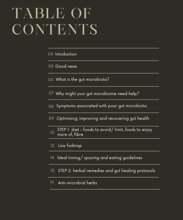 PDF Holistic gut health: the microbiotia toolkit