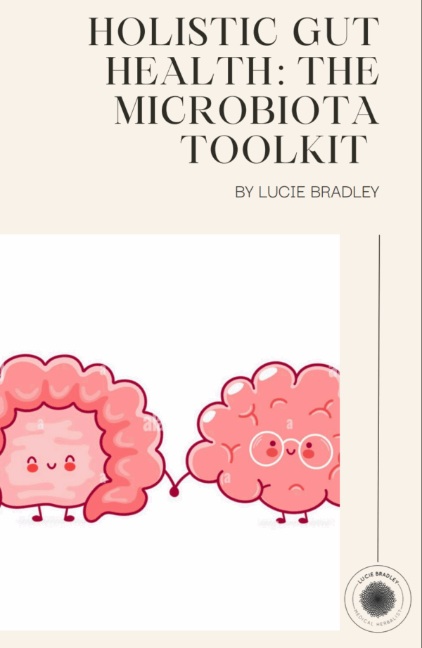 PDF Holistic gut health: the microbiotia toolkit
